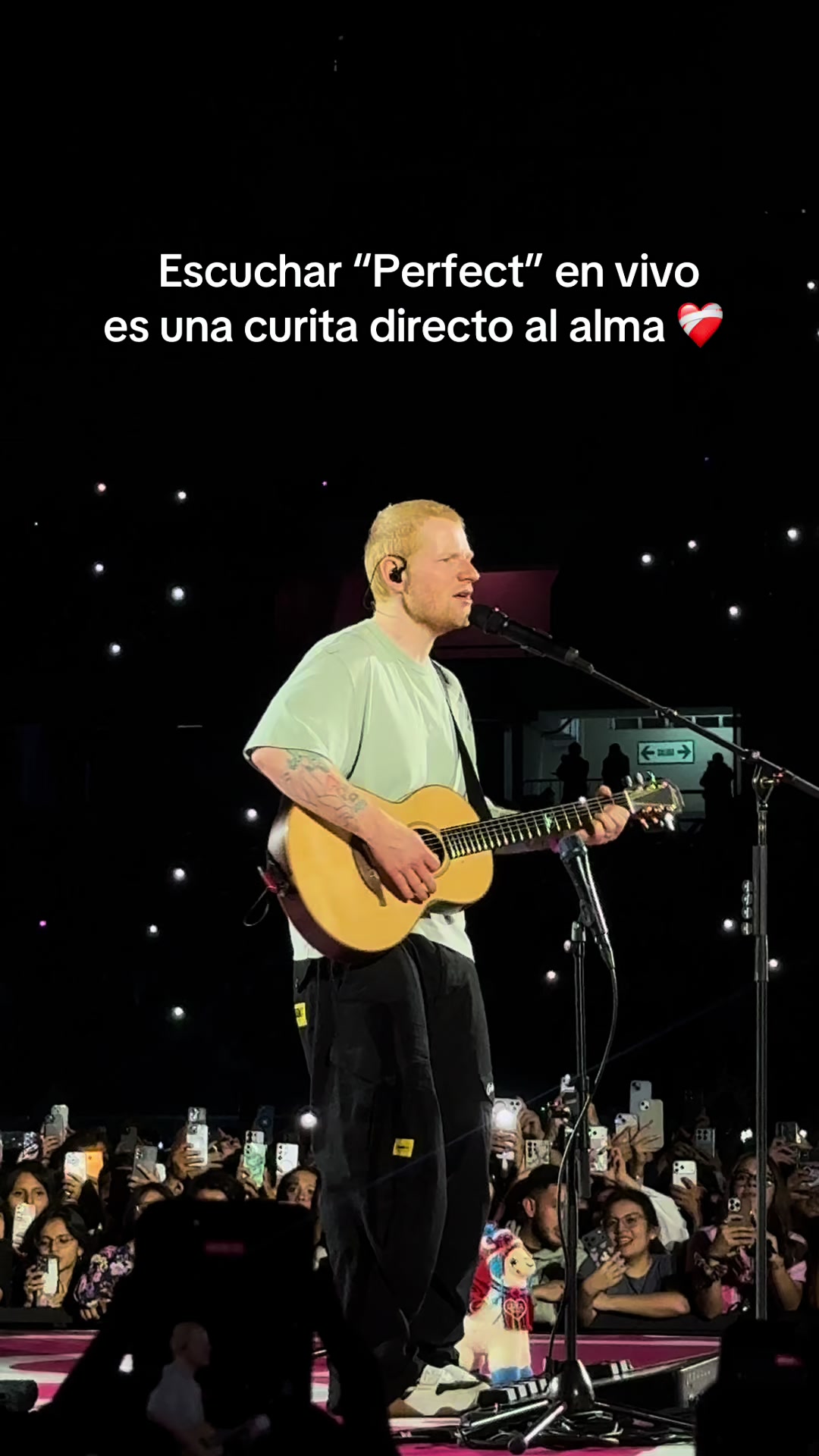 @Ale Ampuero