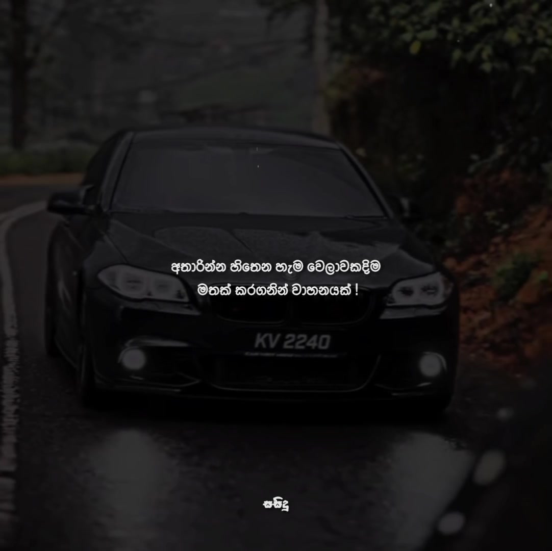 @サシ 🇧🇷