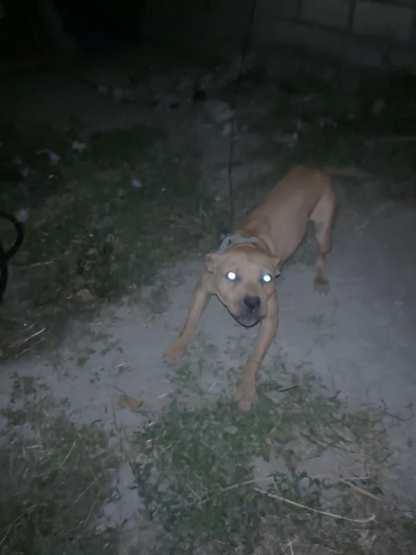 @Joker_pit8