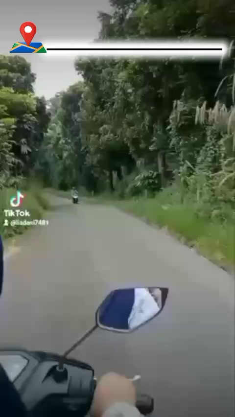 @Lia Dani