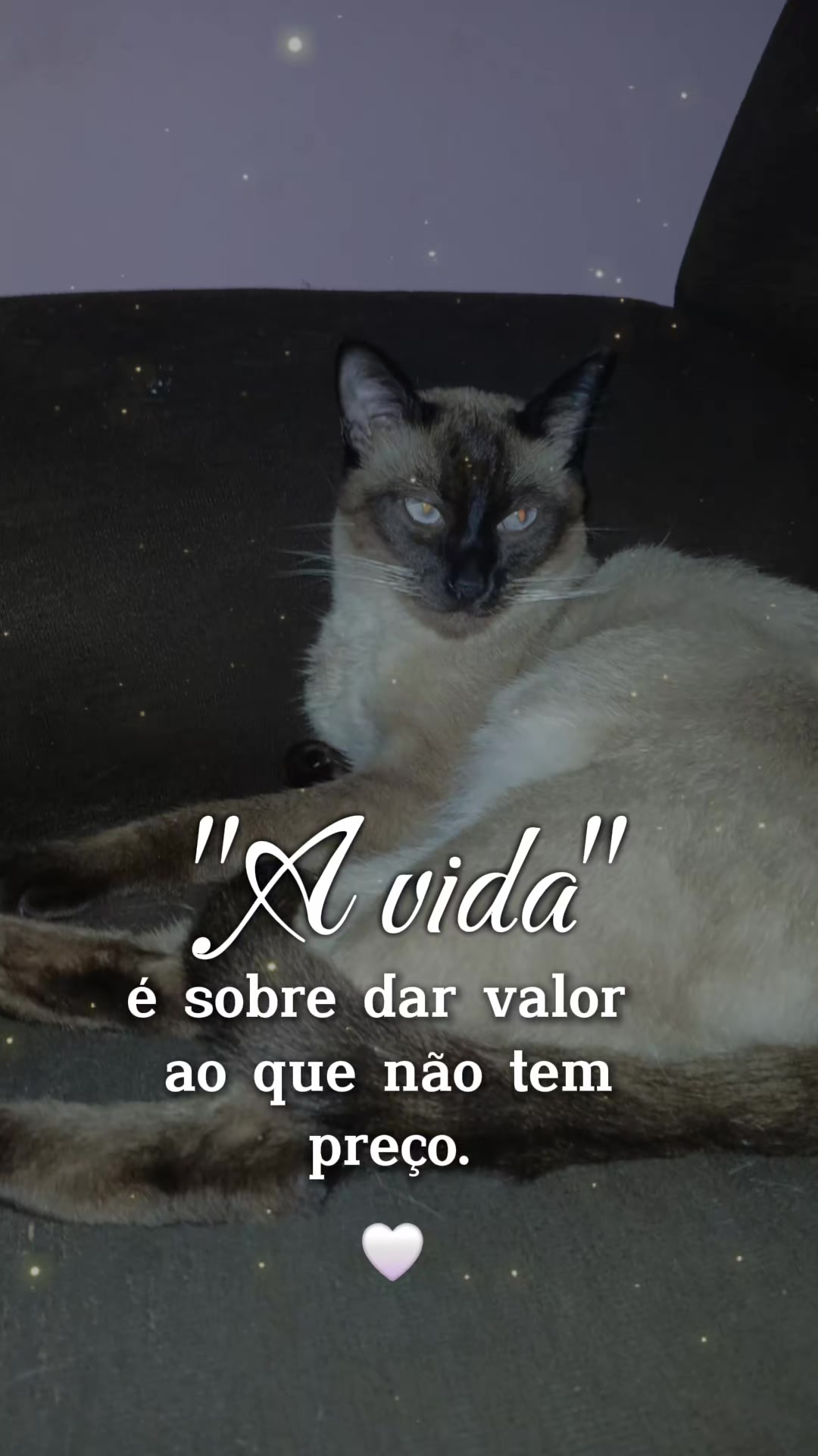 @Juliah Berto
