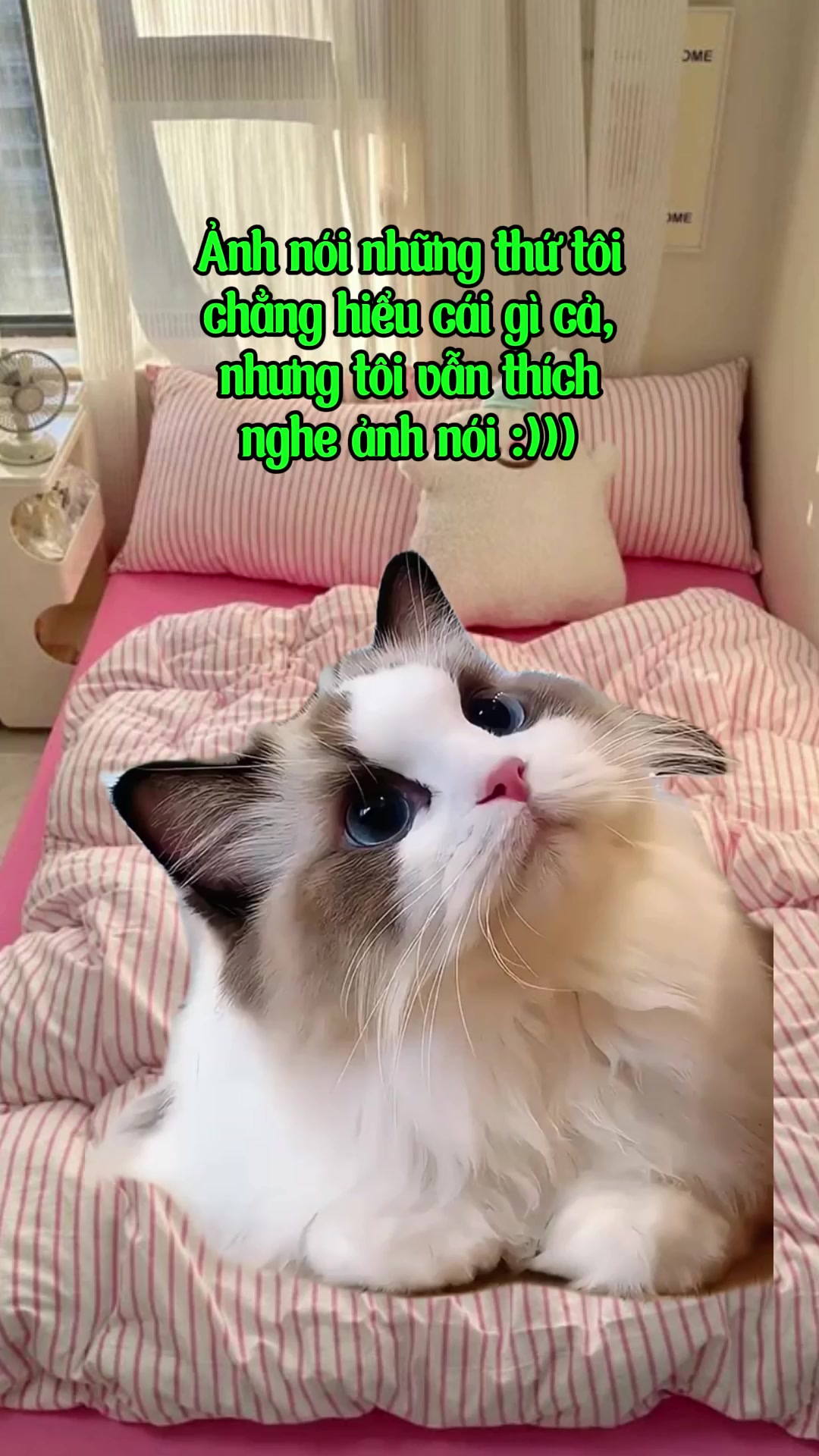 @R̫R̫8̫8̫ Thế Hệ Cợt Nhả