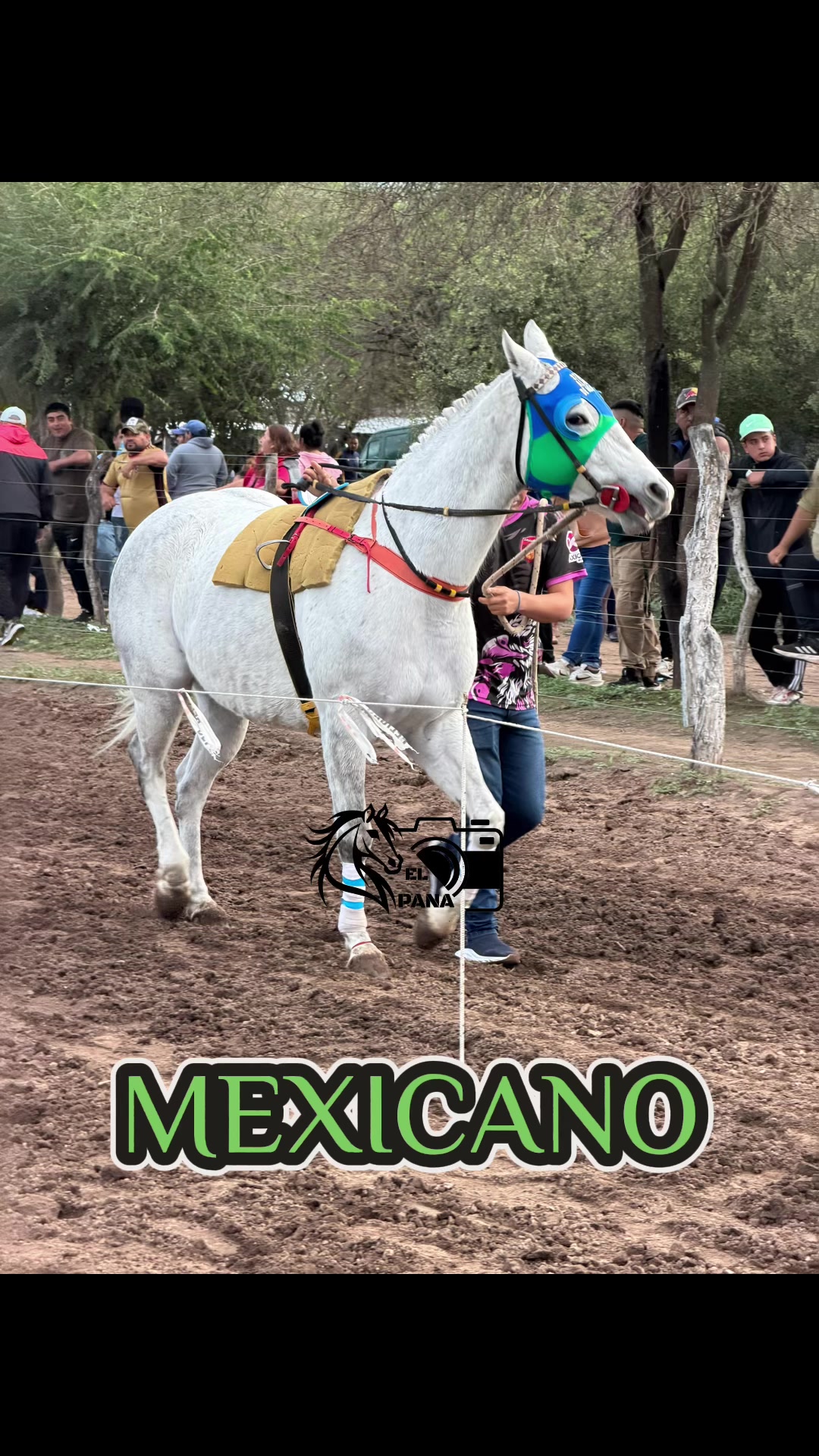 @el_pana_trh