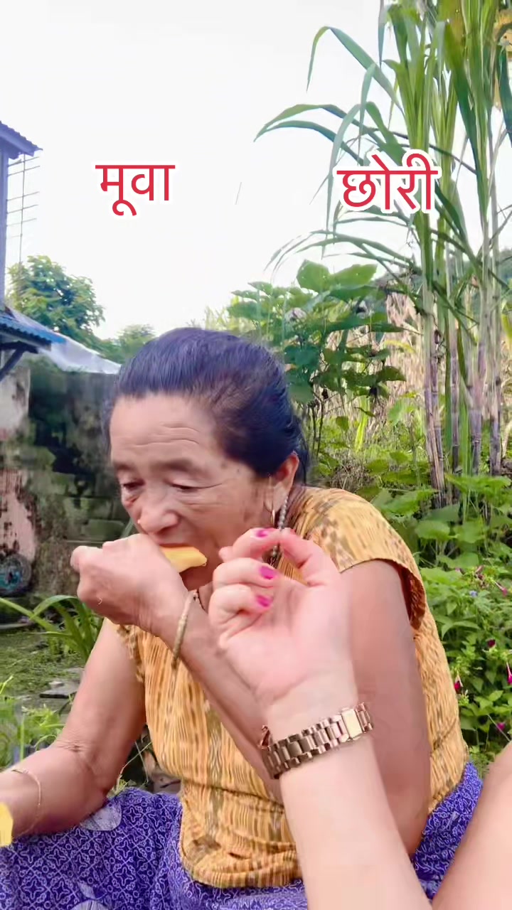 @sikha