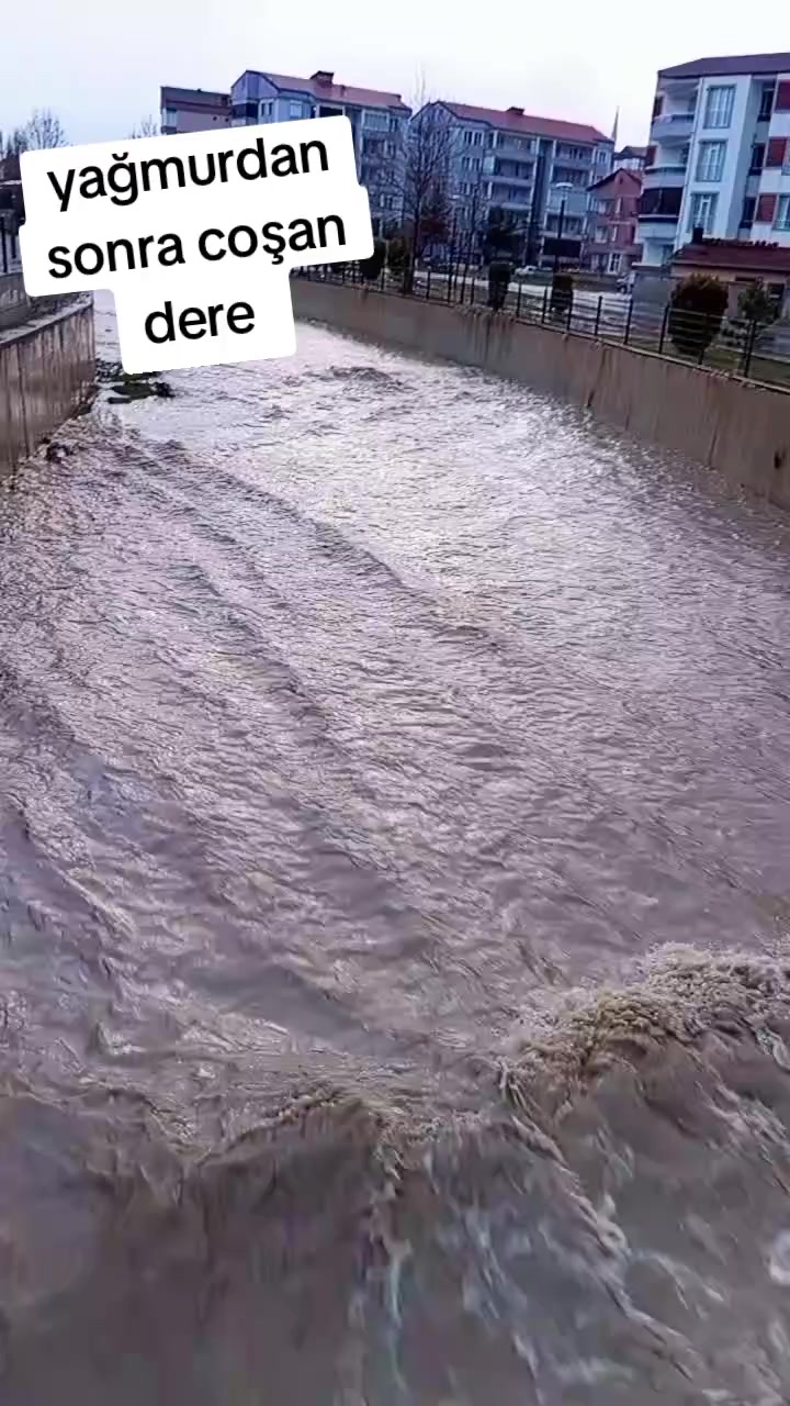 @&ouml;zlem g&uuml;ler