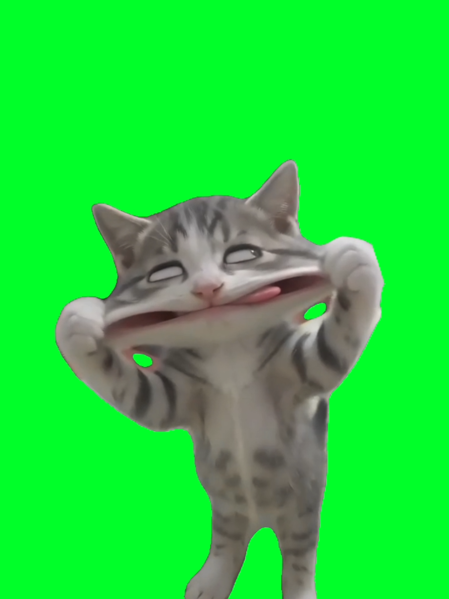 @TikTok Template