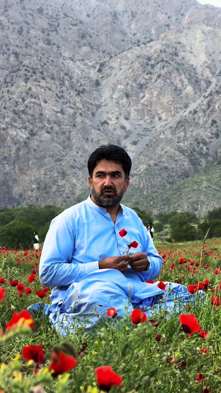 @Ali Bhai