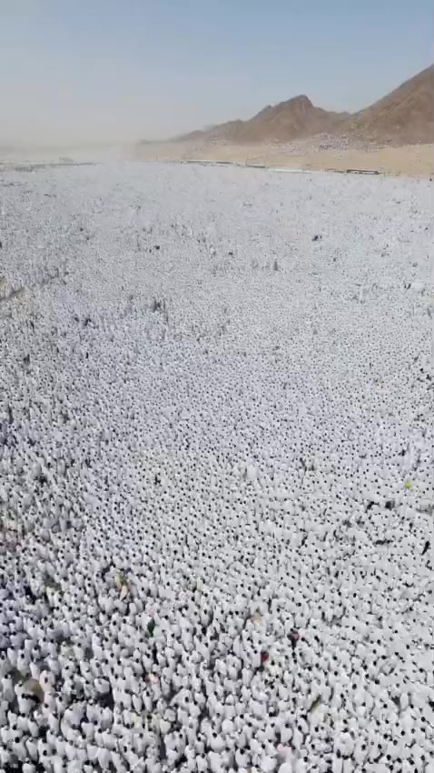 @امیر طلال وردگ