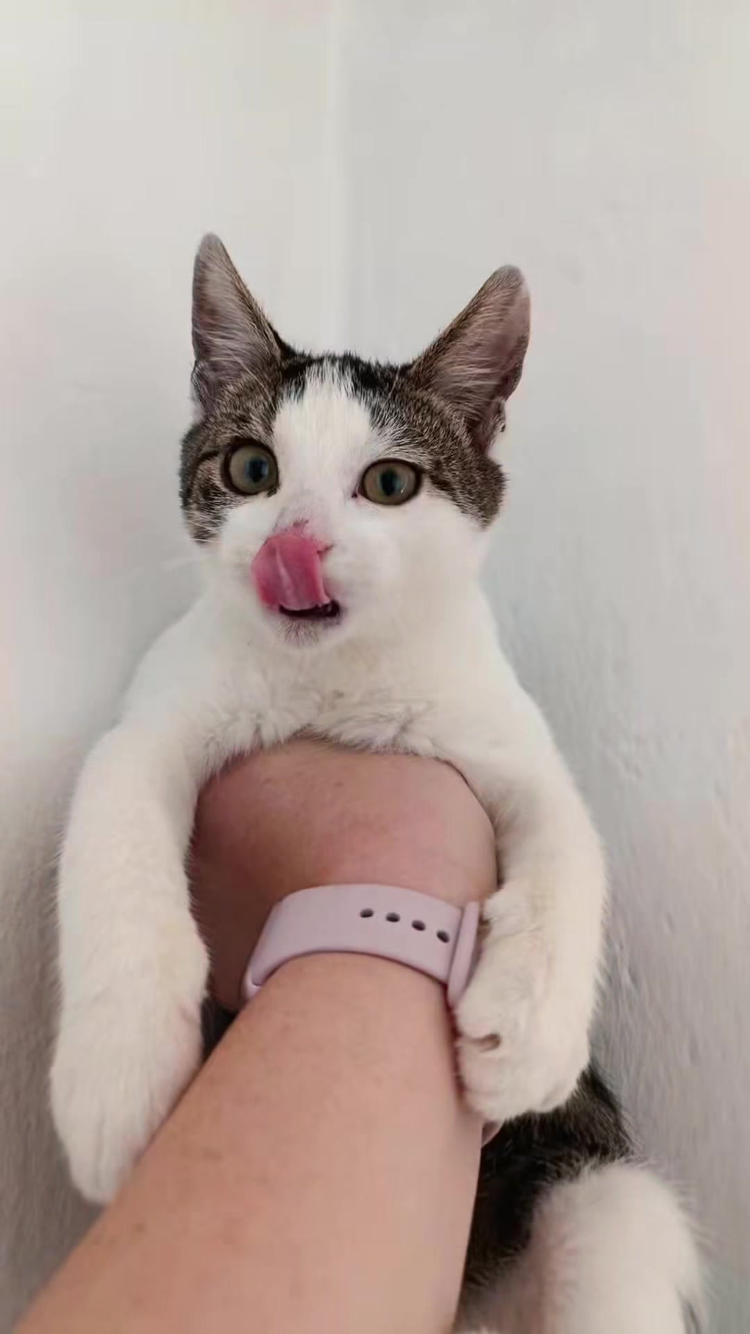 @Wodzisławskie Psy i Koty 😻🥺
