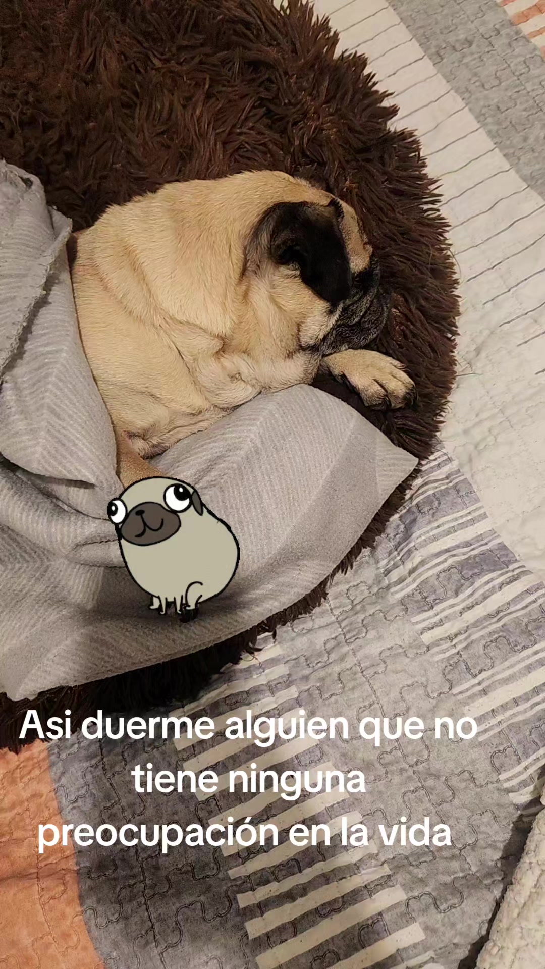 @Juan Bahamonde Ulloa