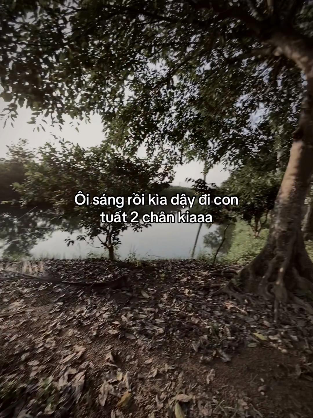 @𝐍𝐠𝐮𝐲𝐞̂̃𝐧 𝐇𝐮̀𝐧𝐠🧸