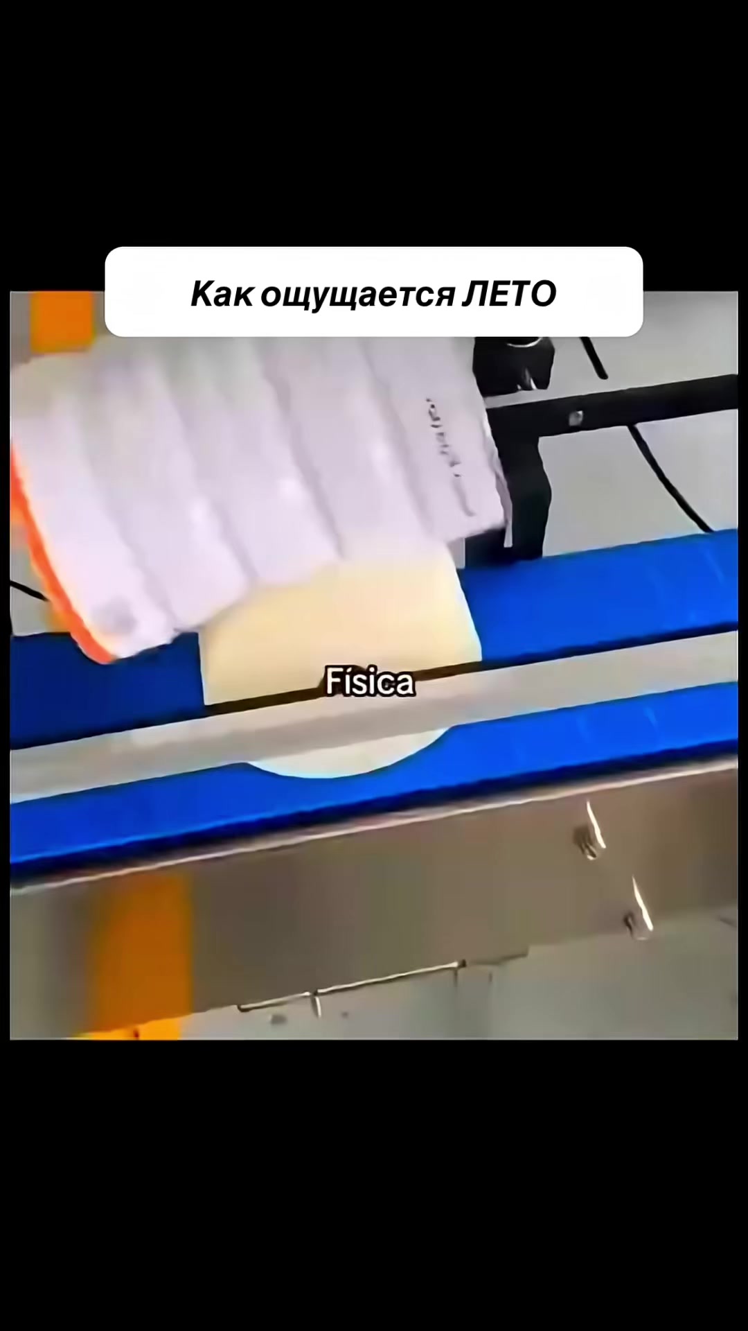 @DOLLOR