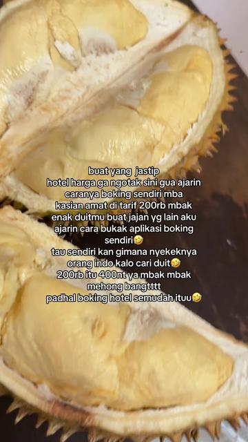 @littlebite9