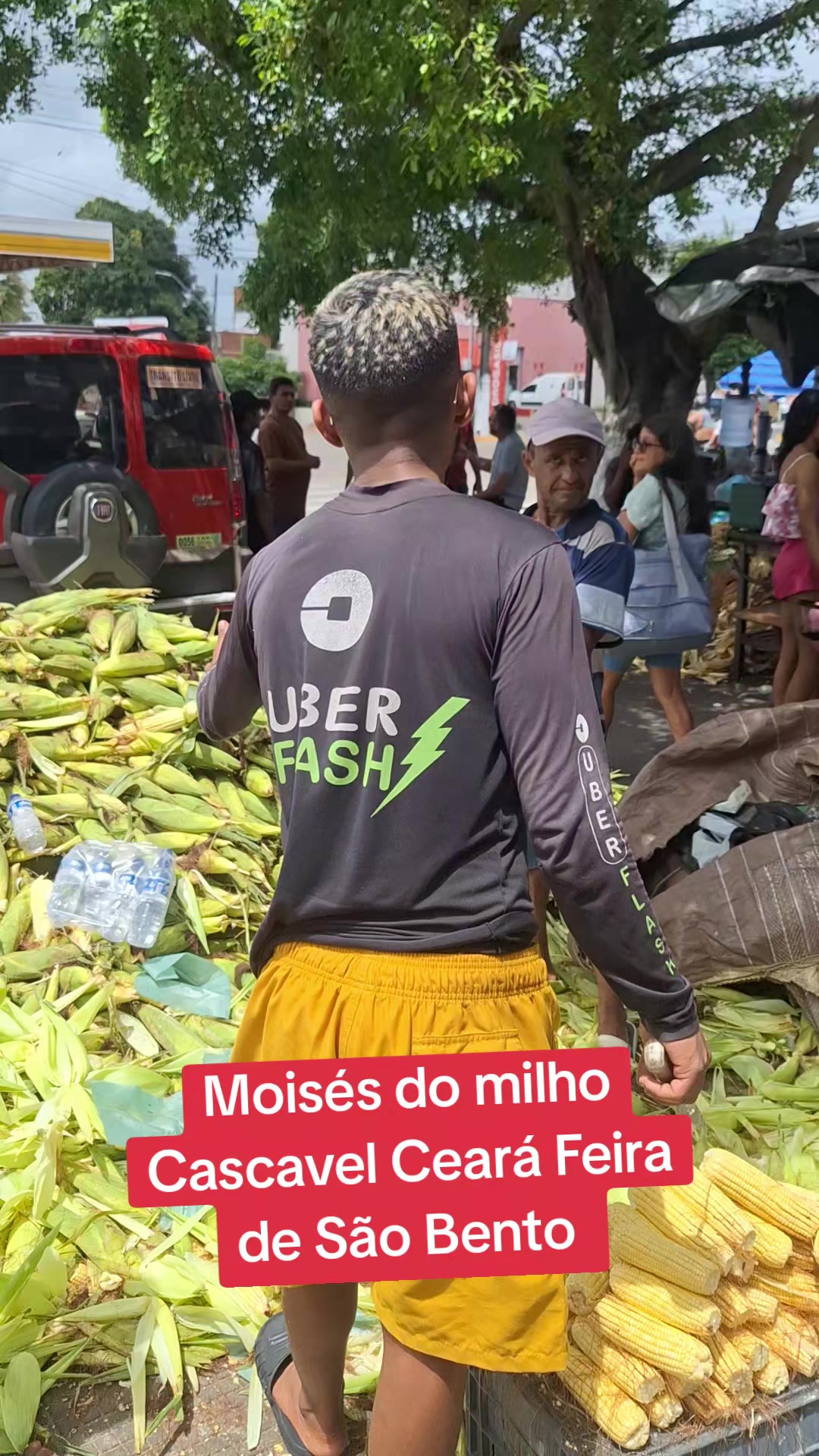 @Adailo Pinheiro