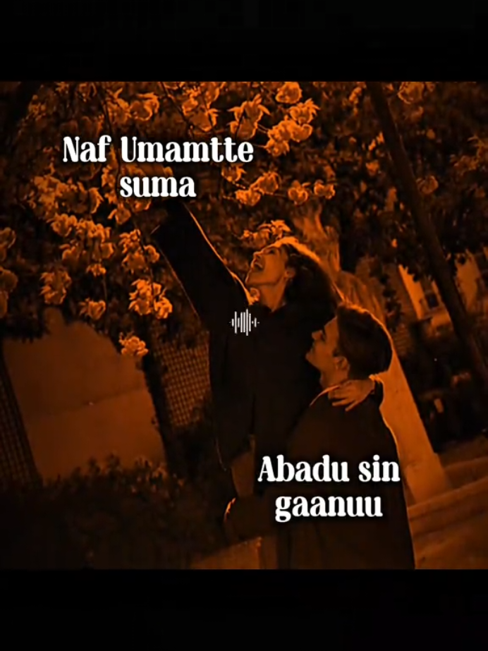 @Hamzelyrics🧠