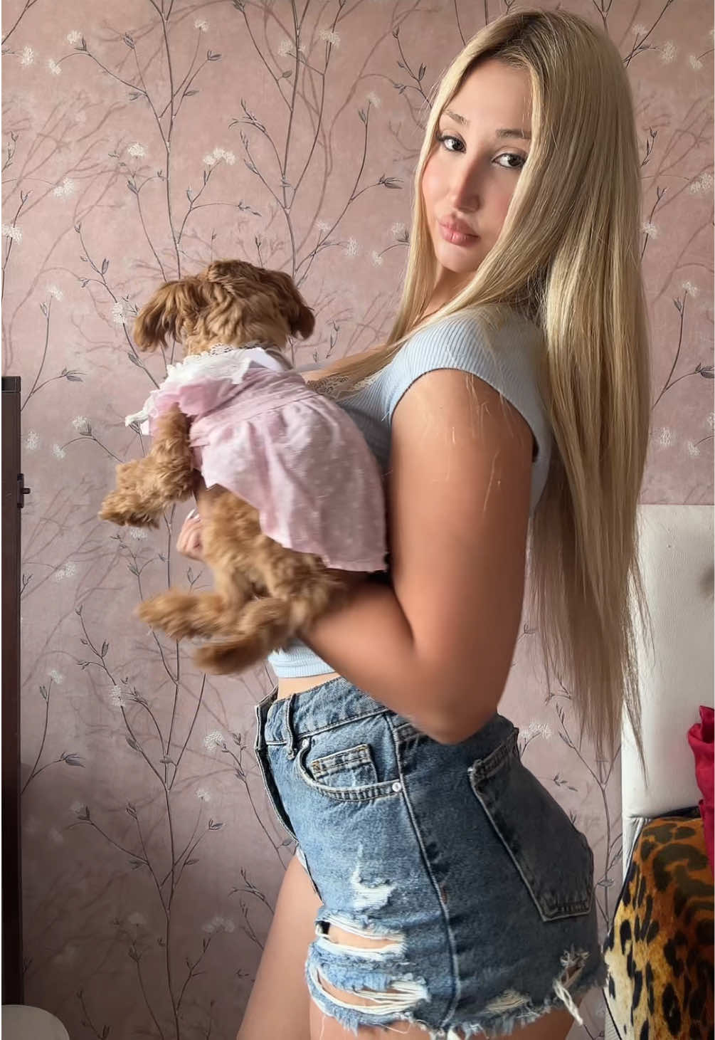 @ozzgww