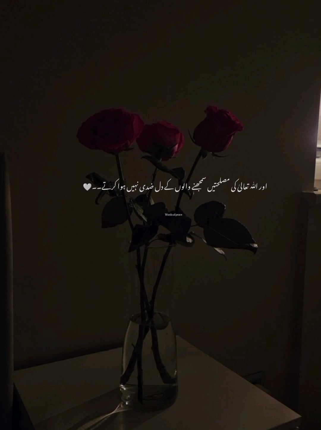 @قلم کی نمی🥀