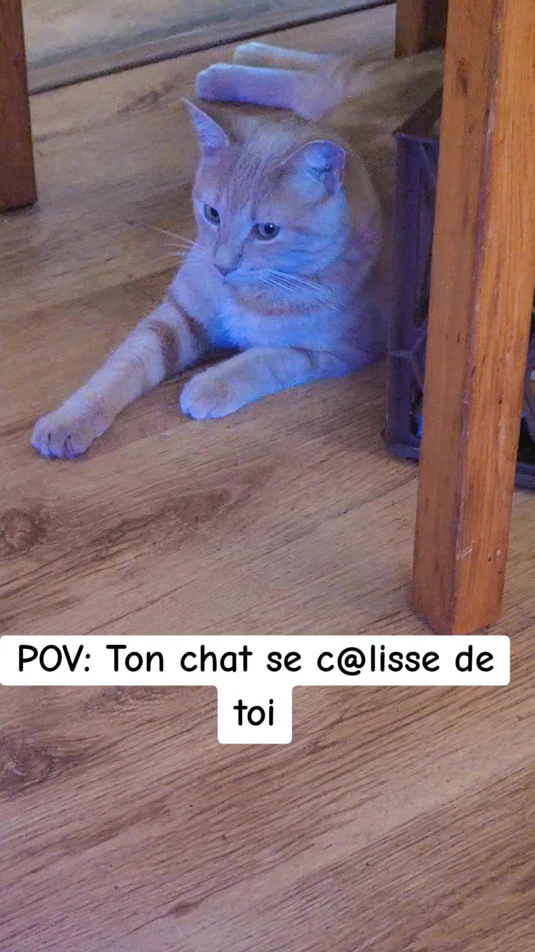 @L'AnTiSoCiAl🤪