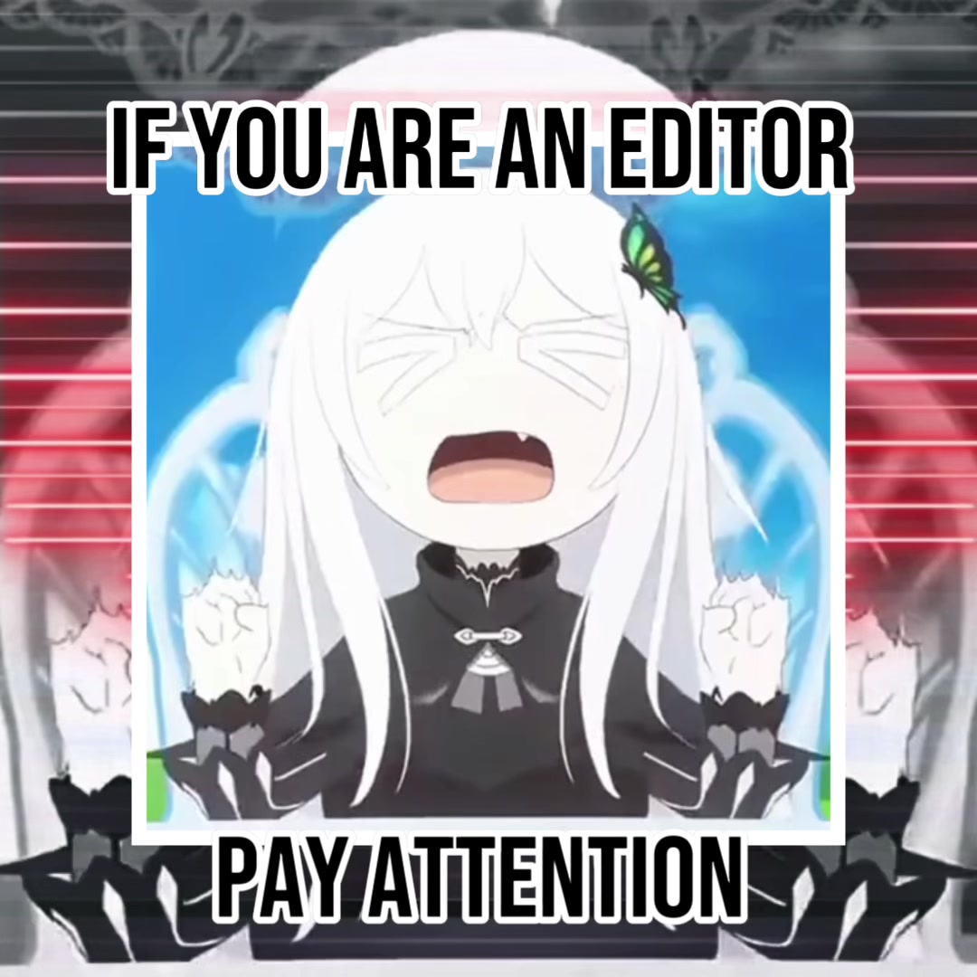 @Milkies/Echidna