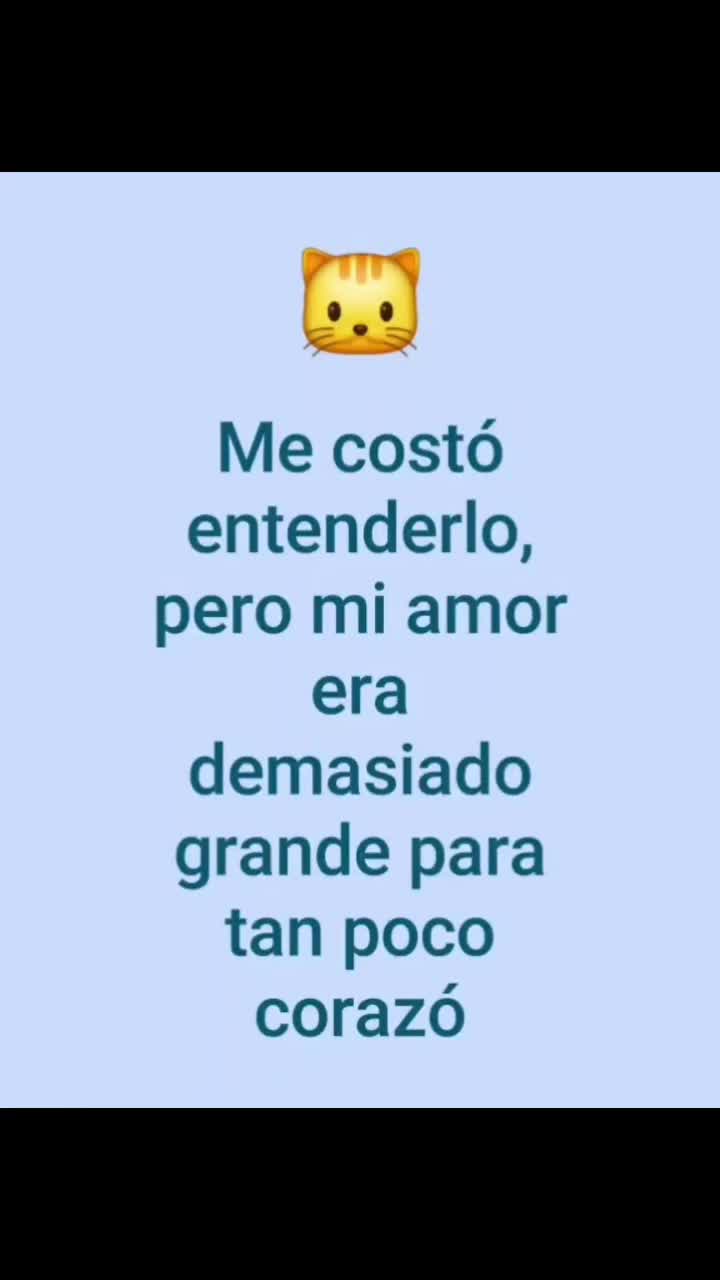 @el panda solitario