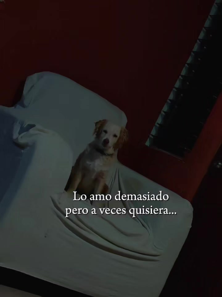 @®jøsęsîtø™🧑🔧