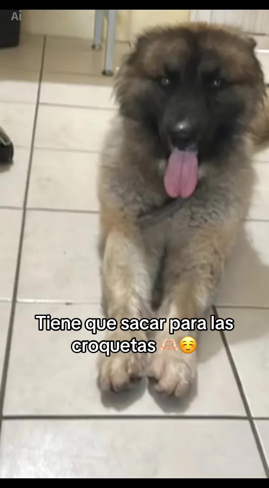 @Blanca Chavez