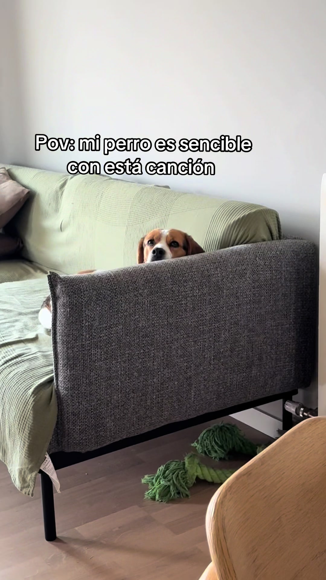 @samu🫧