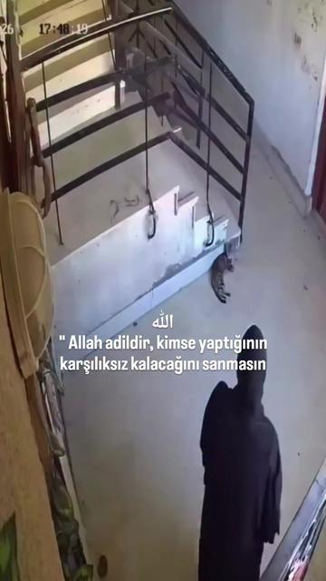 @Maviş gözlü güvenlik 45