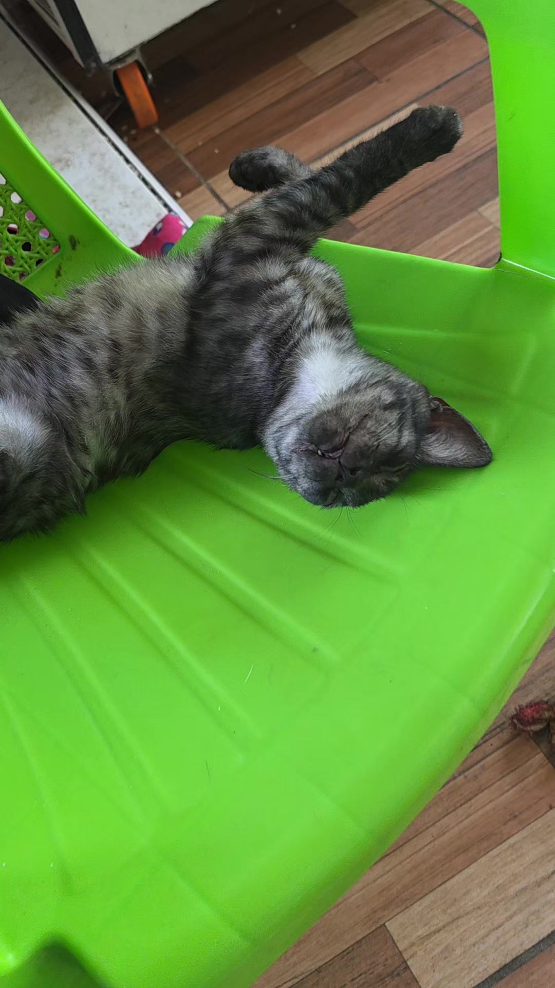 @๐น๐๐๐ ๐จ๐๐๐๐
๐