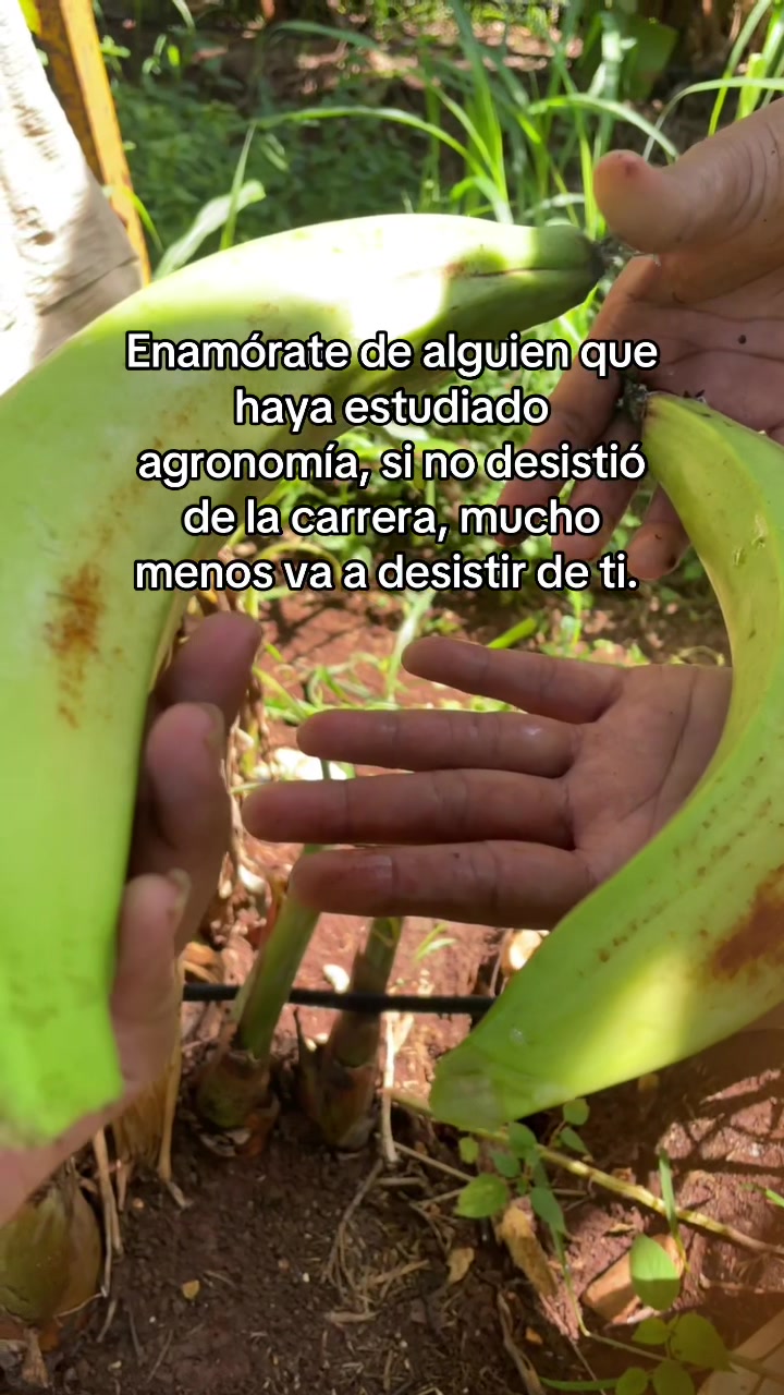 @La del Agro 👩🏻&zwj;🌾🌱