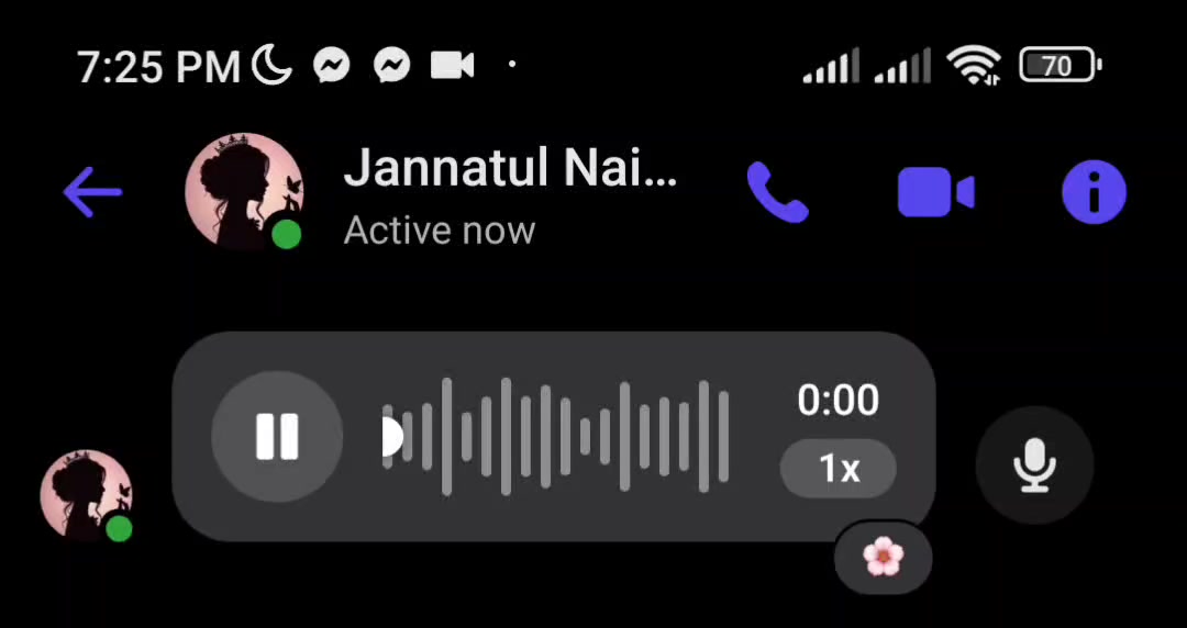 @Voice Of Jannatul