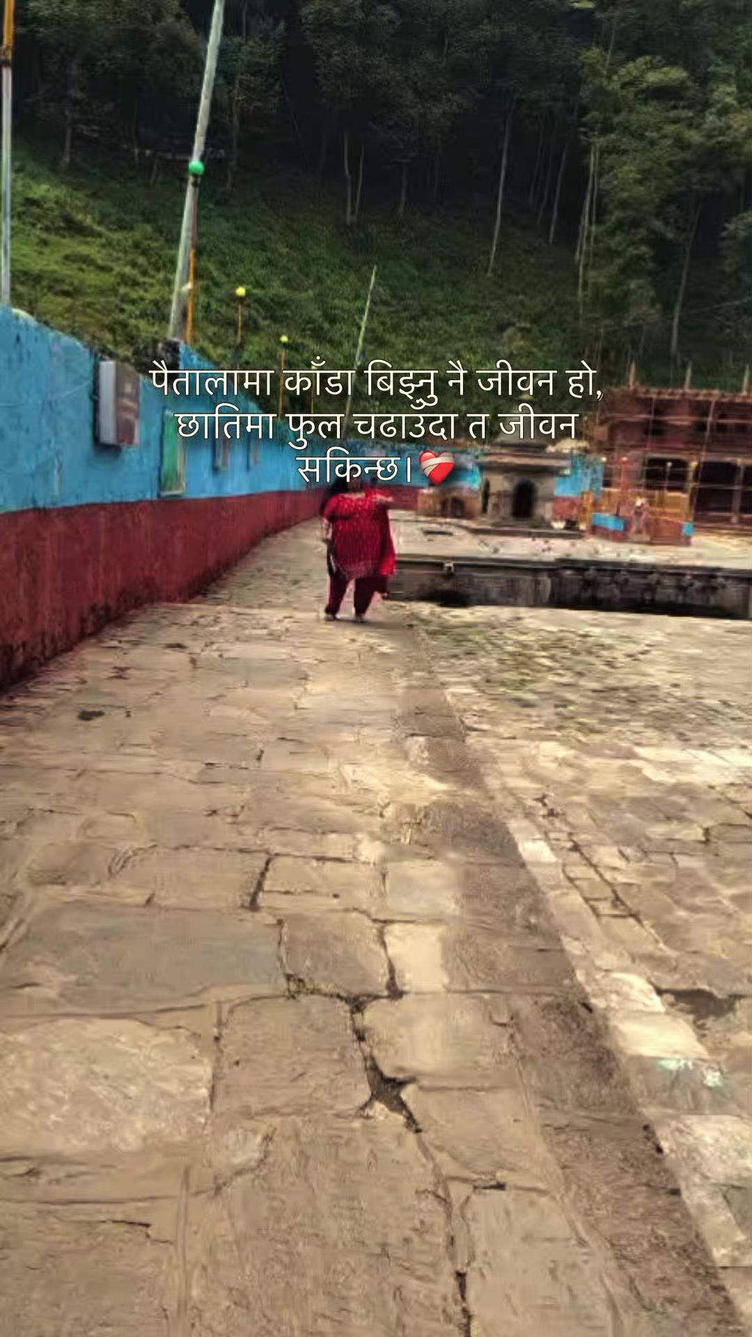 @सानु काे माया🐈️💕