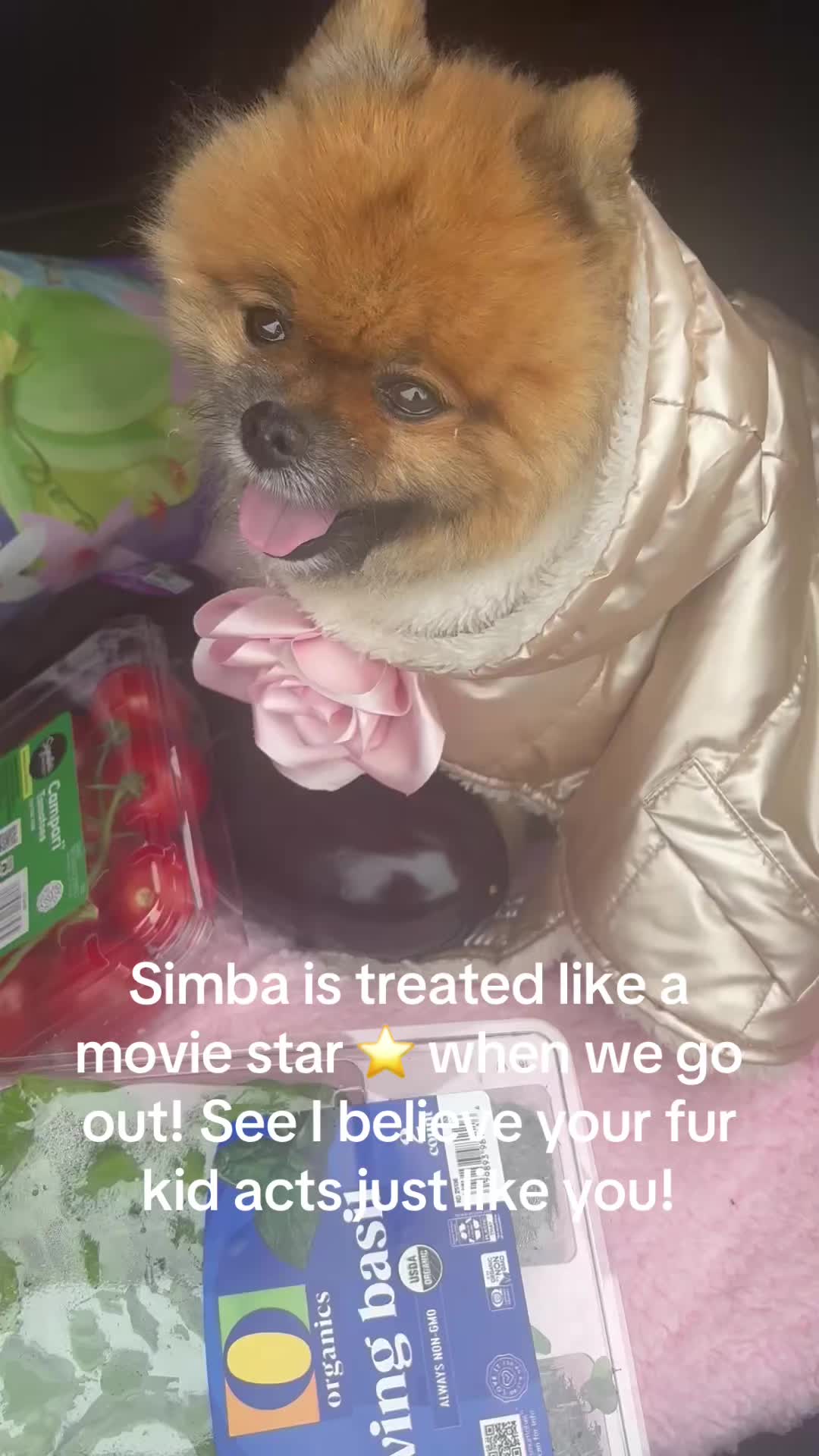 @datingwholenotbroken