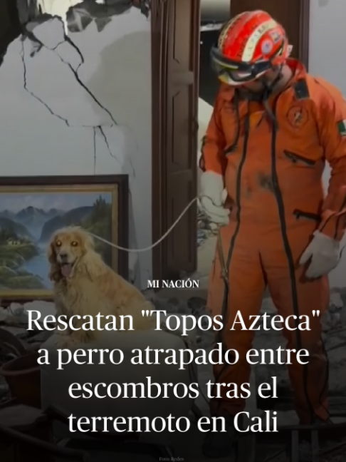 @DiariodeMéxico