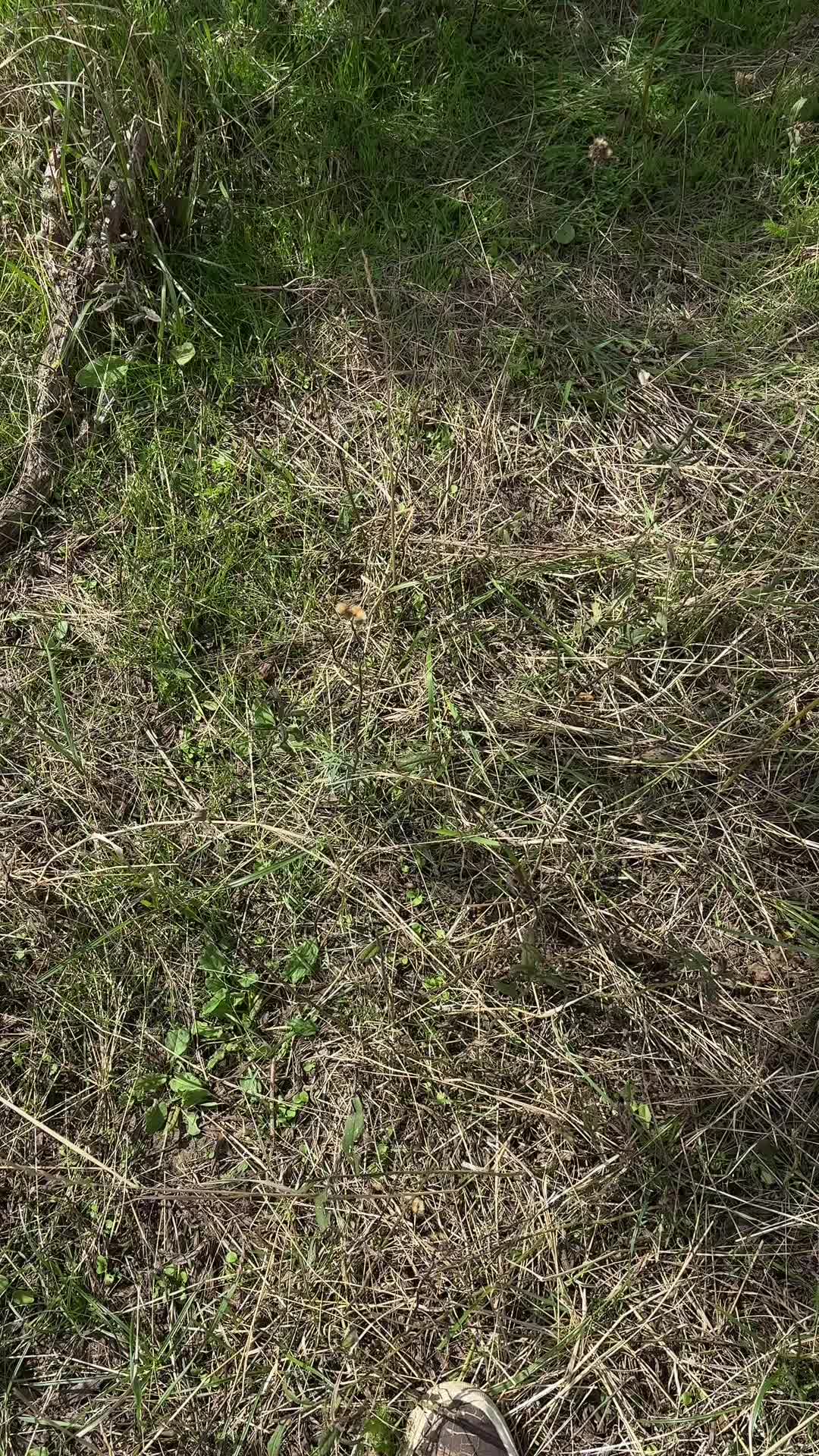 @ひ