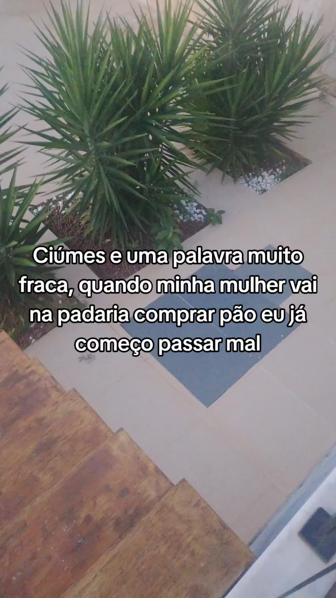 @Luiz Alexandre