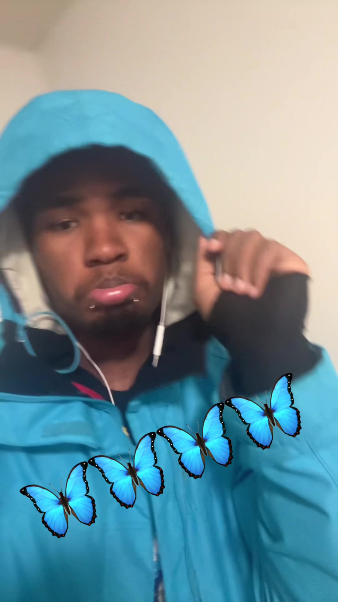 @Mølly