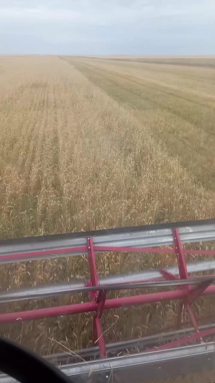 @яков