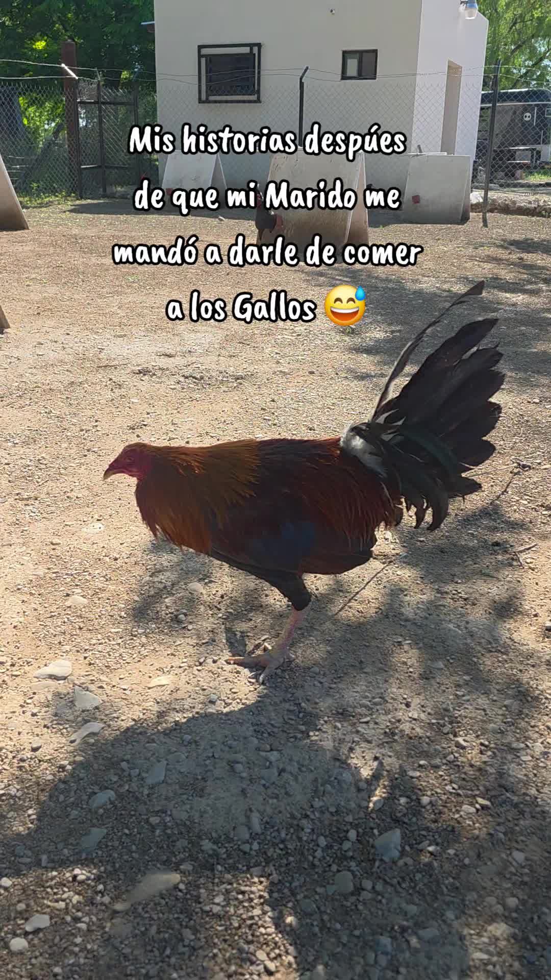@vicky_coahuila