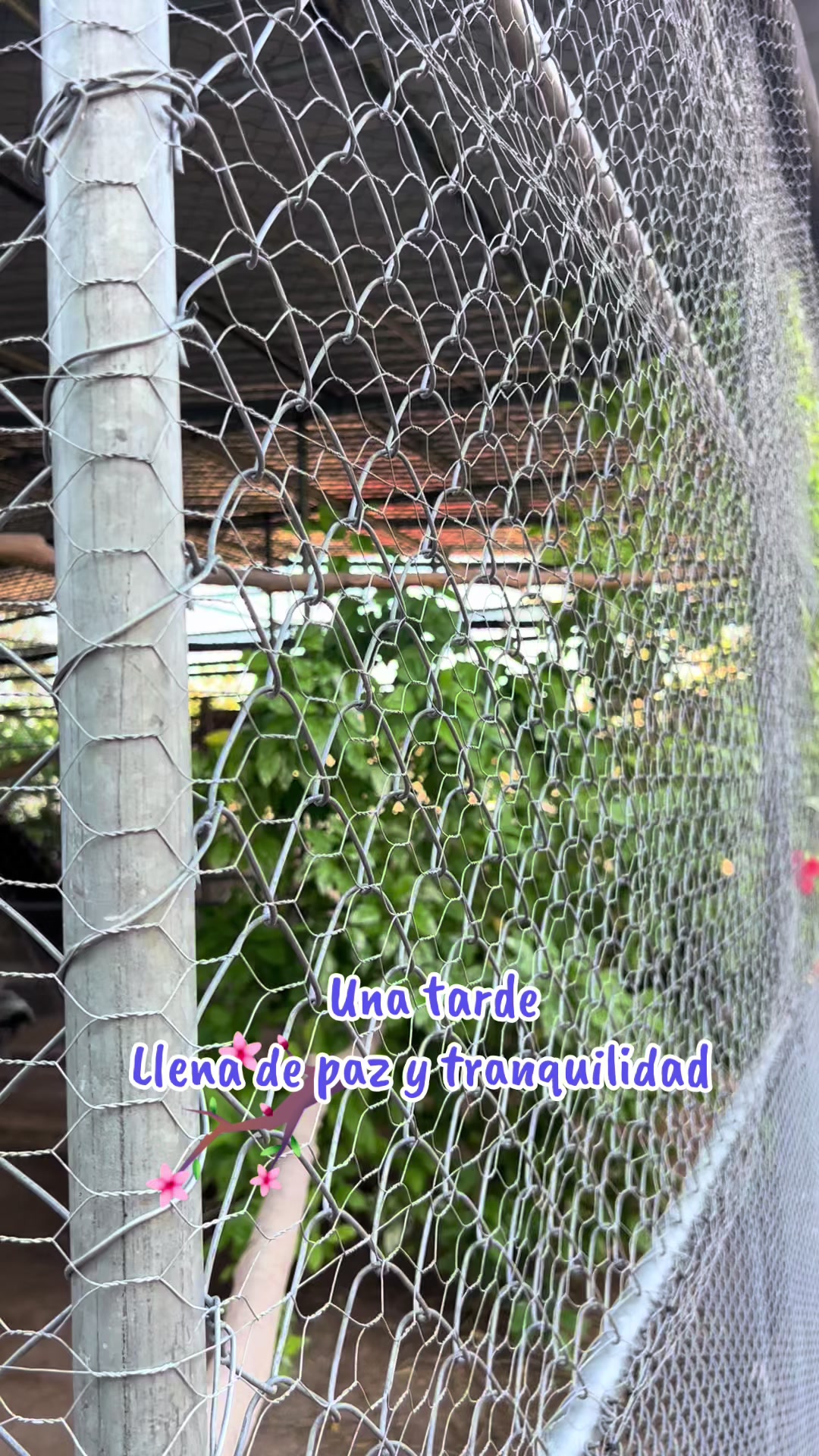 @La Casa Del Kambul