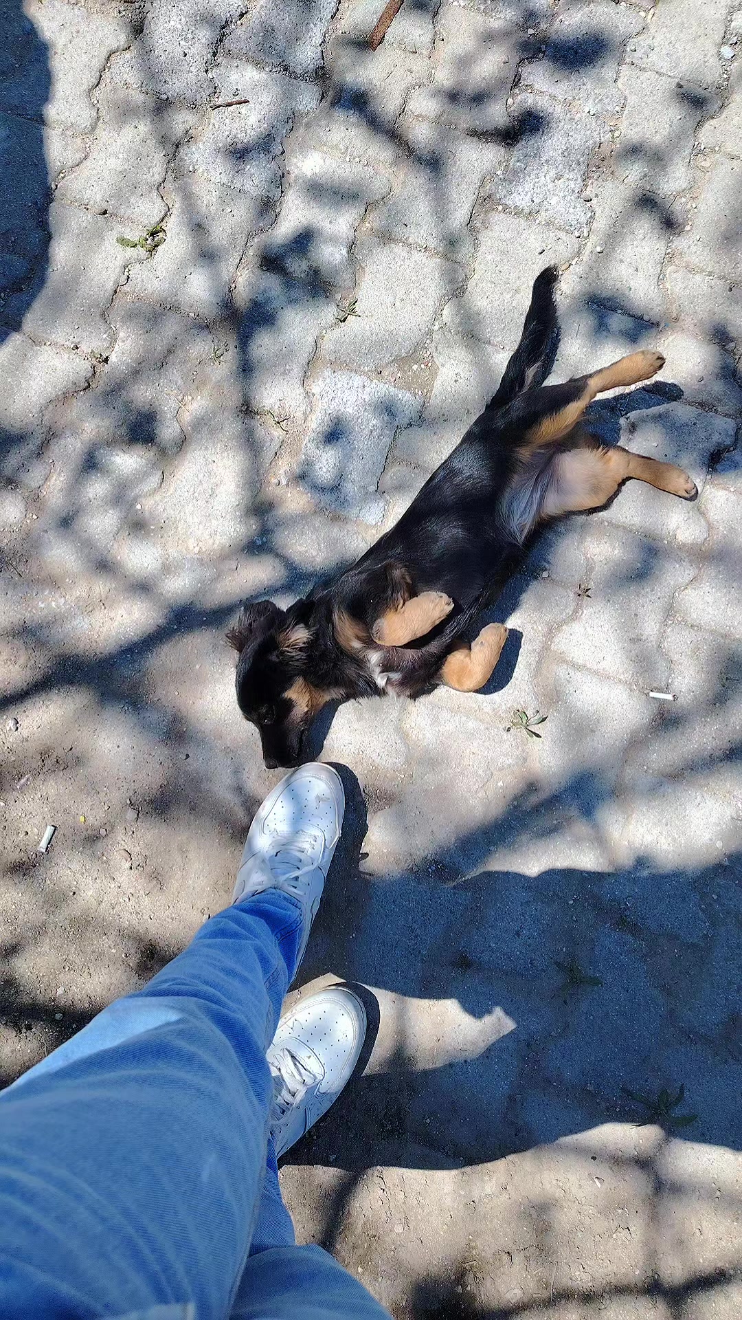 @Gökhan.02