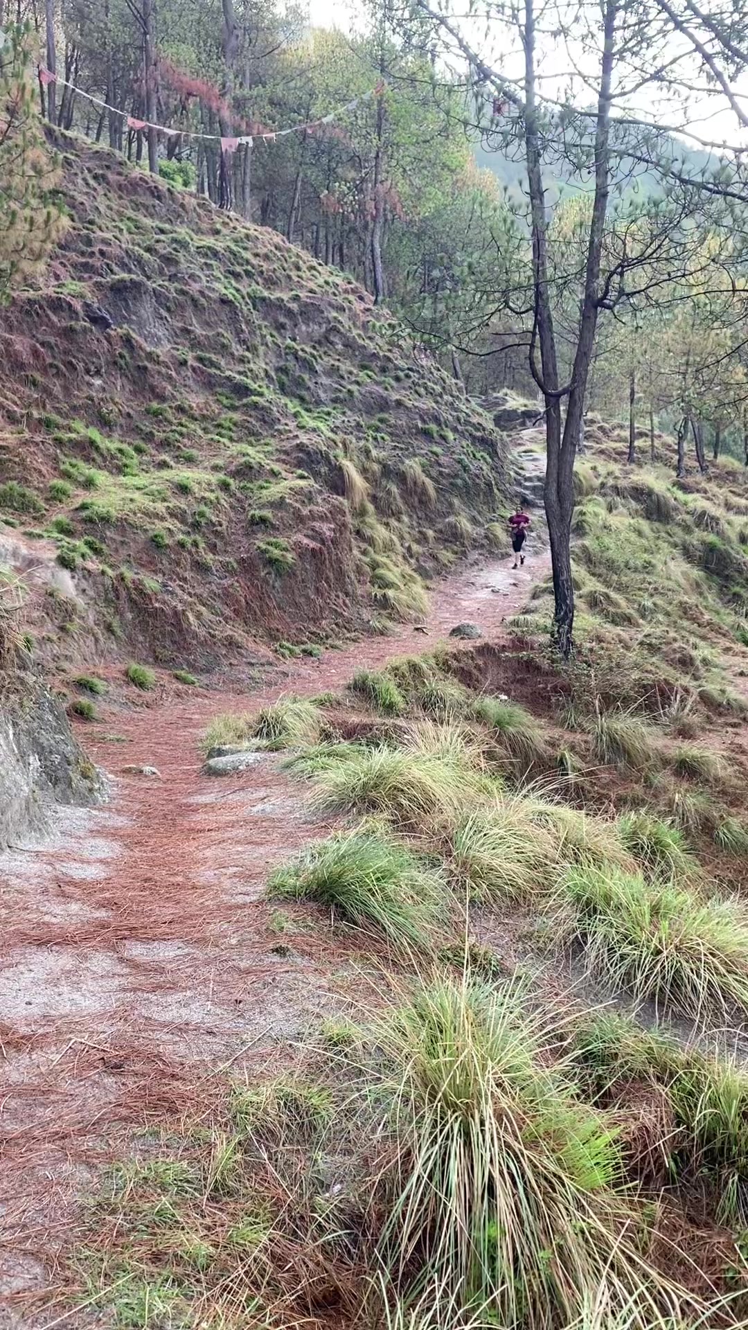 @Puja Pariyar