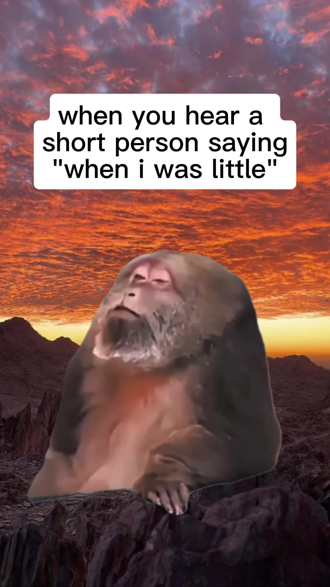 @meme