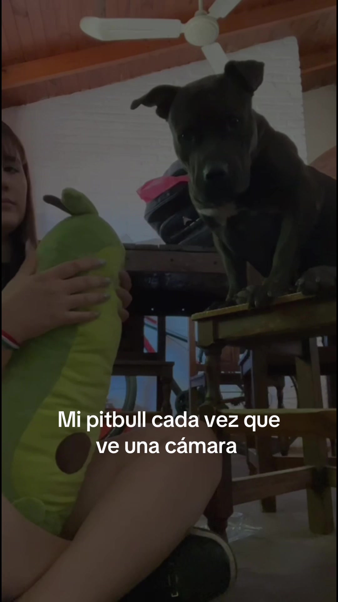 @cami_solbach🧿