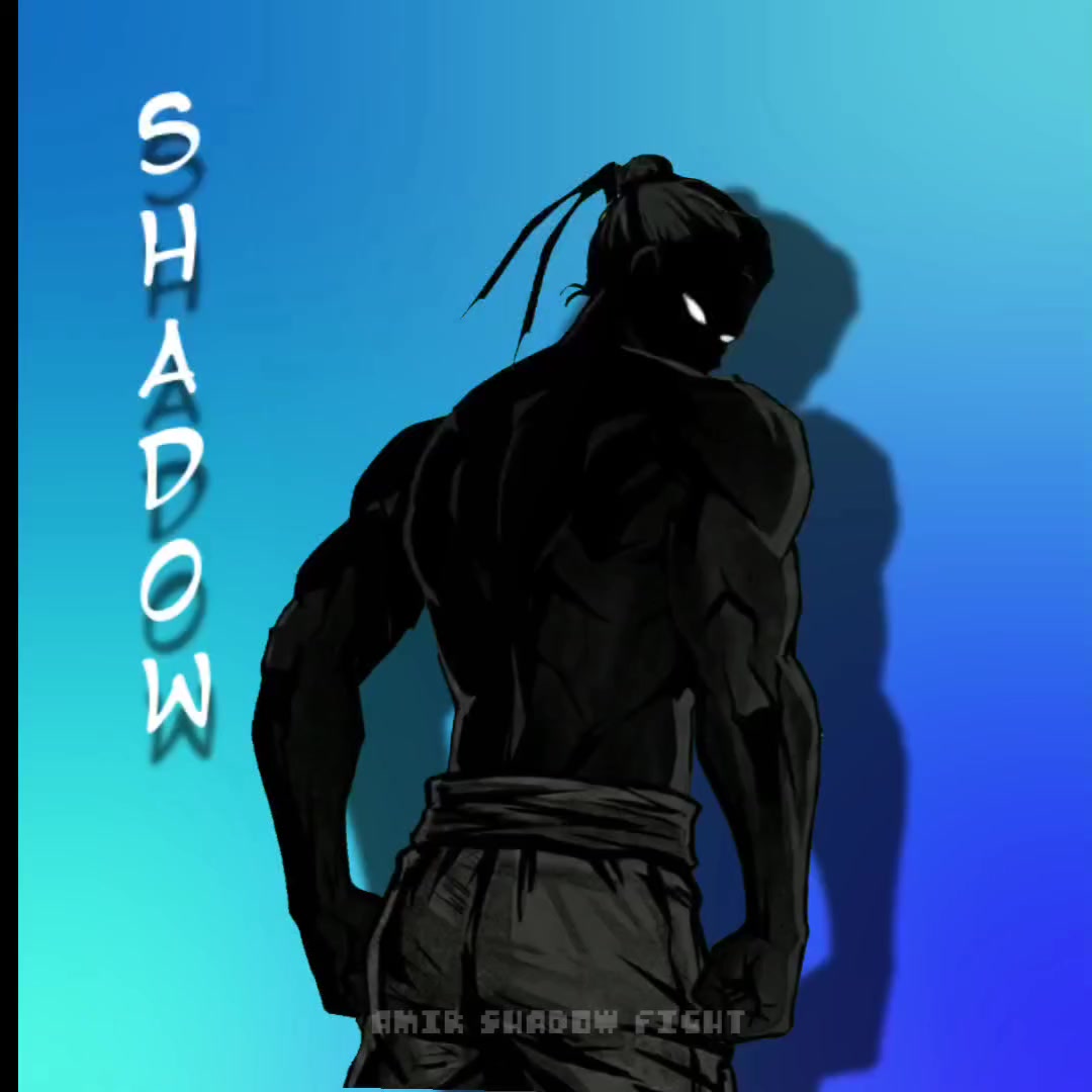 @Amir Shadow Fight