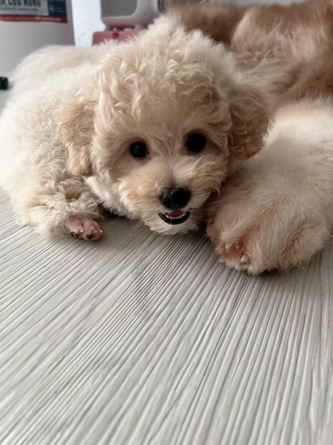 @Sam Xàm phiêu lưu ký