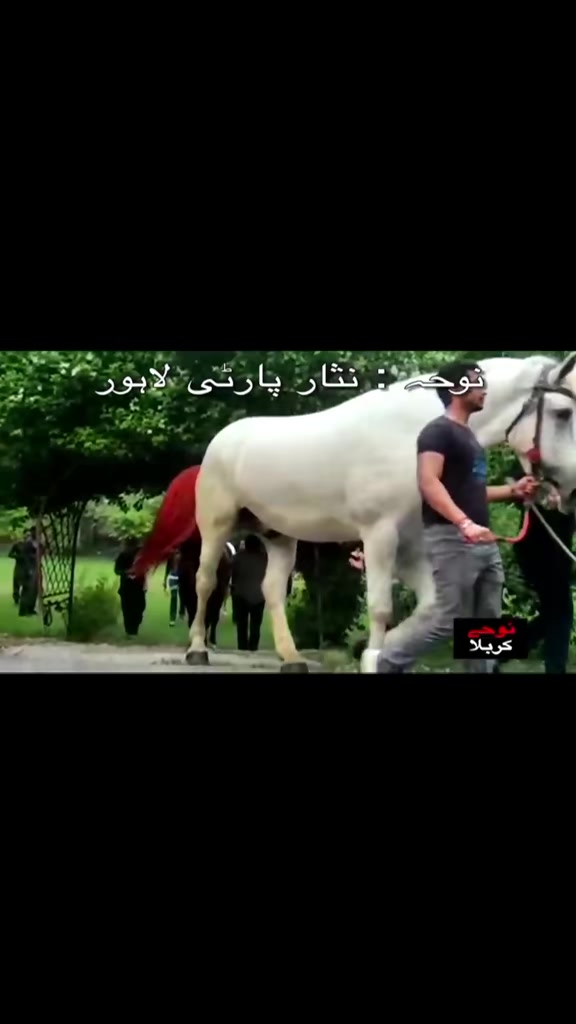 @hamara village sipyala🐴🐎🇵🇰
