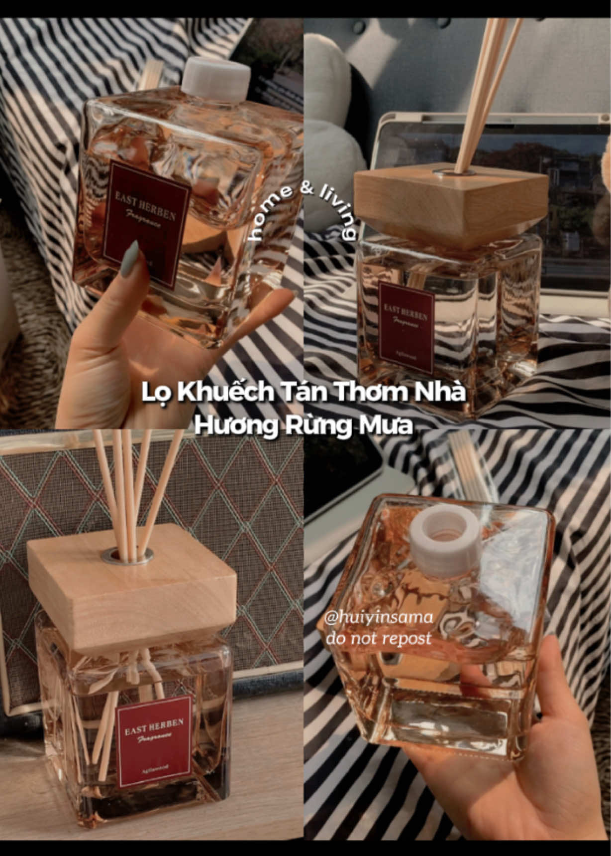 @٠࣪⭑ Hui Yin Chuột Bạch Ი︵𐑼