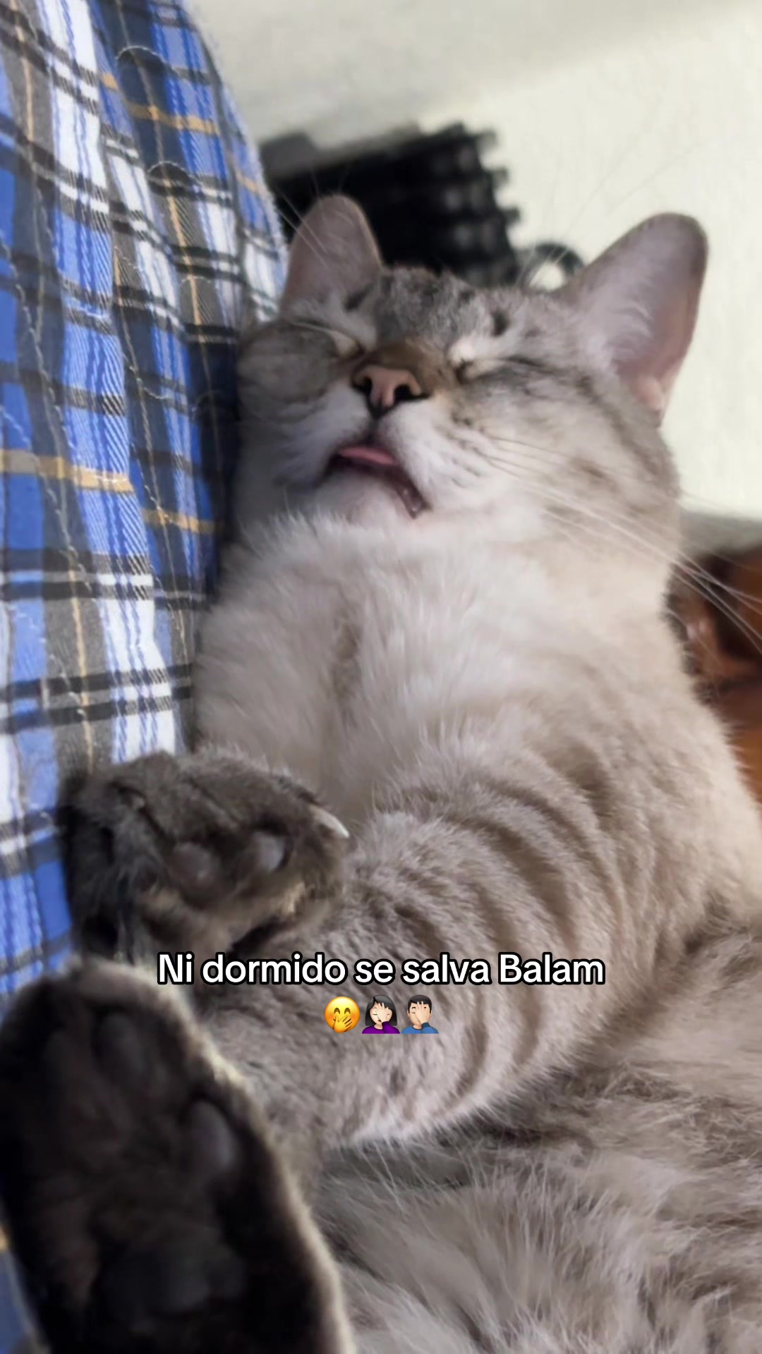 @Sara777