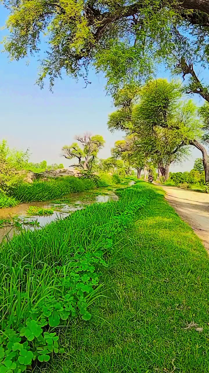 @Amjid babar